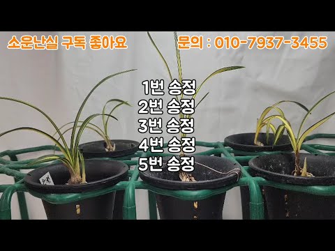 유튜브 썸네일