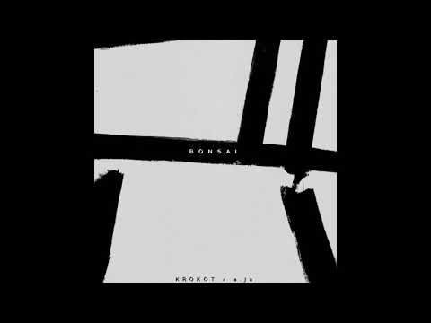 KROKOT x a.Ja - Horizonts