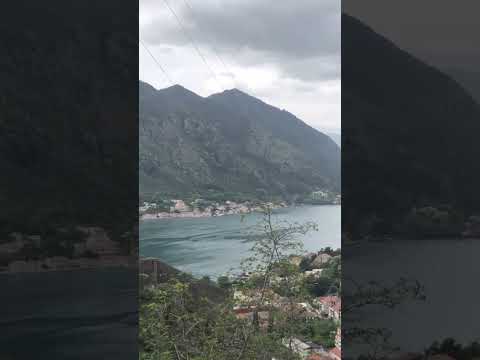 Ancient Kotor, Montenegro Castle Hike! #castle #history #kotor #travel #shorts