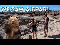 WE SAW A BEAR!