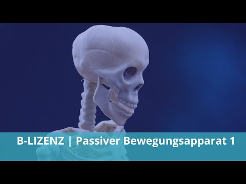 B-LIZENZ | Prüfungsstoff Passiver Bewegungsapparat & Knochen Teil 1