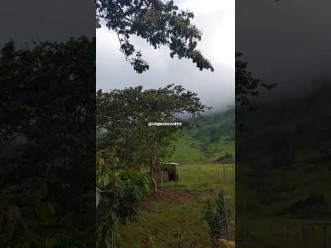 Los Jardines de Oxapampa- Hospedaje #viral #cortos