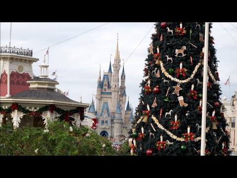 download lagu mp3 mp4 When Does Disney Decorate For Christmas 2019, download lagu When Does Disney Decorate For Christmas 2019 gratis, unduh video klip When Does Disney Decorate For Christmas 2019