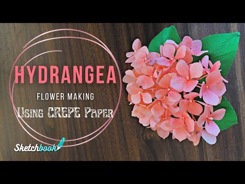 Hydrangea Flower making with crepe paper | Sketchbook