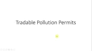 Economics: Tradable and Non-Tradable Pollution Permits or Pollution Allowances