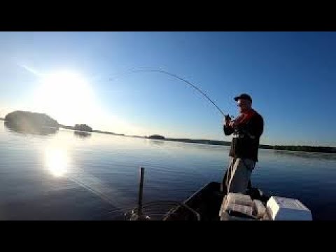 JIGIKALASTUSTA TASURIMIEHEN KANSSA OSA 2/2 | SUUREN PIEKSÄN PULLAKAT AHVENET| HAUKIVAARA AKTIIVINEN!