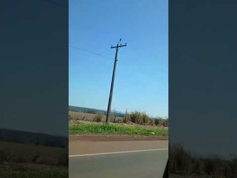saindo de Rondonópolis sentido Poxoréu