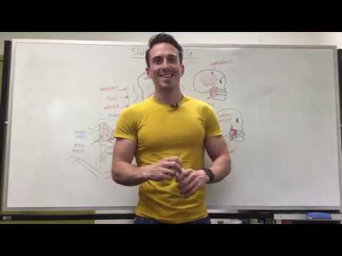 Swallowing | Science of Swallowing