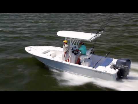 2014 Sea Fox 240 Viper