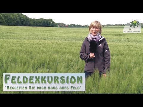 7. Feldexkursion: Sommerungen, Hafer - NU Agrar, 27.05.2015