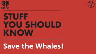 Save the Whales! | STUFF YOU SHOULD KNOW