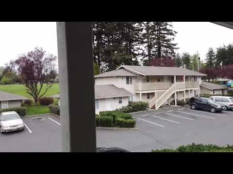 Country Park - Video 2 of 2