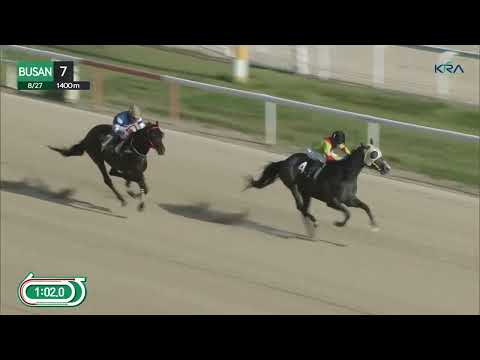 (Busan) 2023.08.27 R7 Class 1 (1400M) Handicap
