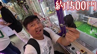 [遊記] 大阪、京都夾娃娃地點及難易度分享