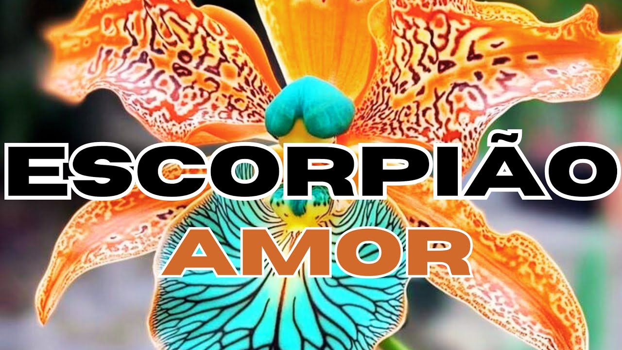 ♏ESCORPIÃO♏AMOR♥️ESSE SER DE LUZ NÃO TINHA NOÇÃO QUE VOCÊ ERA TÃO IMPORTANTE PARA ELE(A).🫤😍🥰✨