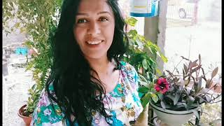 rosa do deserto ama areia