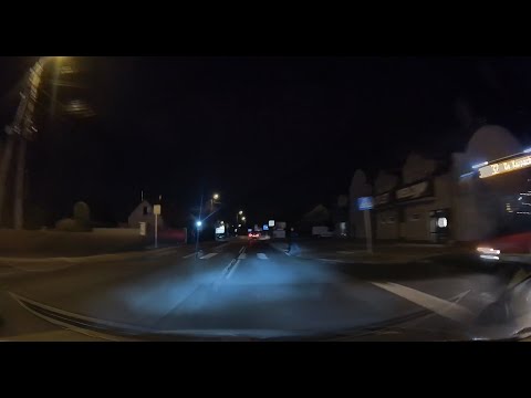 Instynkt przetrwania na poziomie sarny