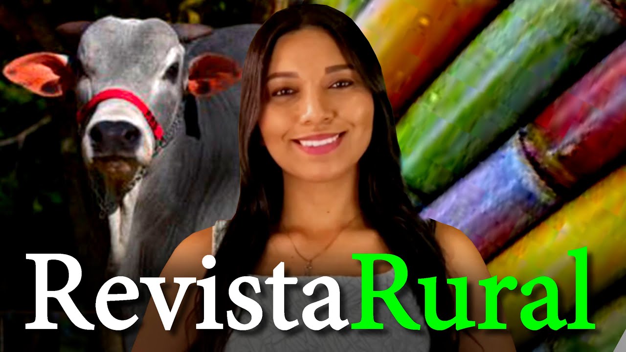 PROGRAMA REVISTA RURAL - 17/03/2024