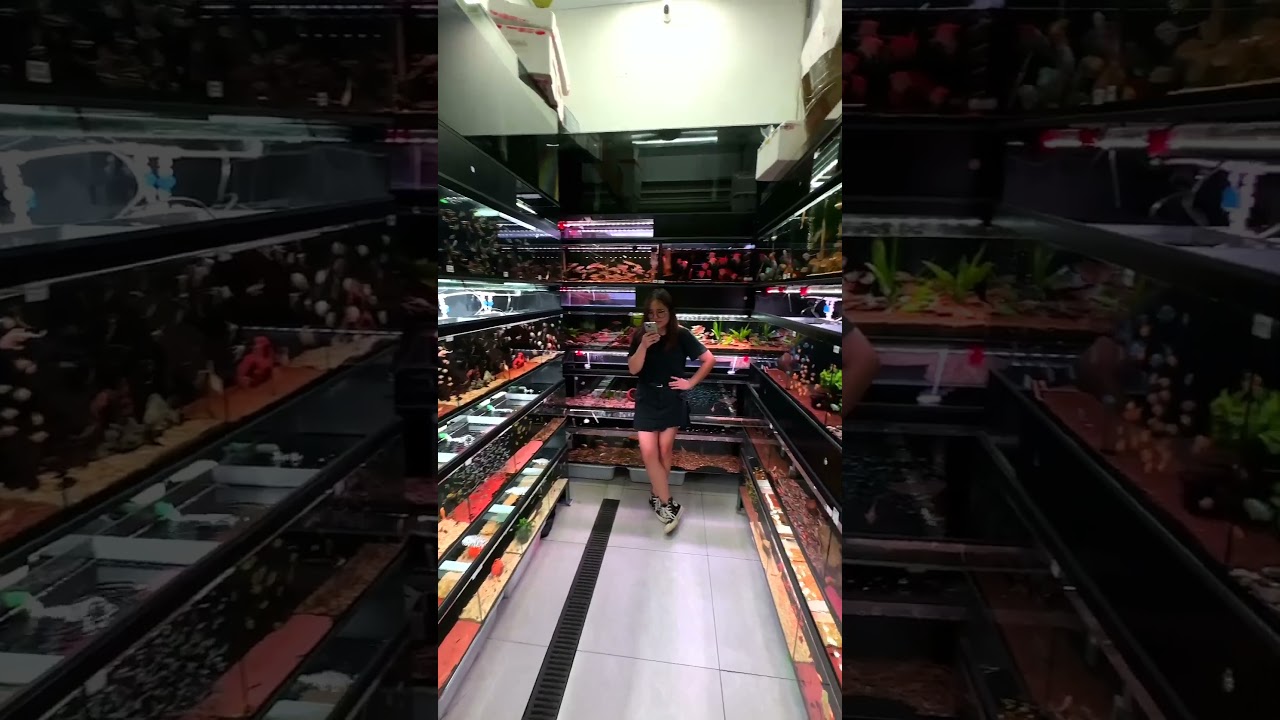 YouTube Short thumbnail