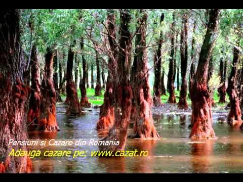 Cazare Mureni, Mures - Cazat.ro