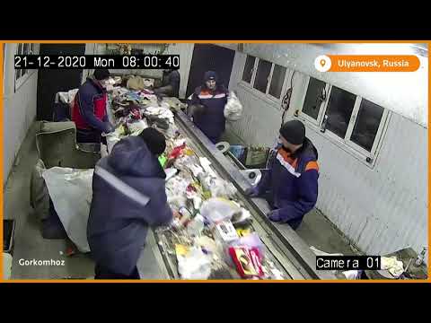 Cat saved from garbage plant in Russia