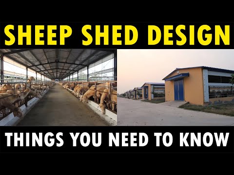 Sheep Shed Design | Sheep Farming / Lamb wool Farming