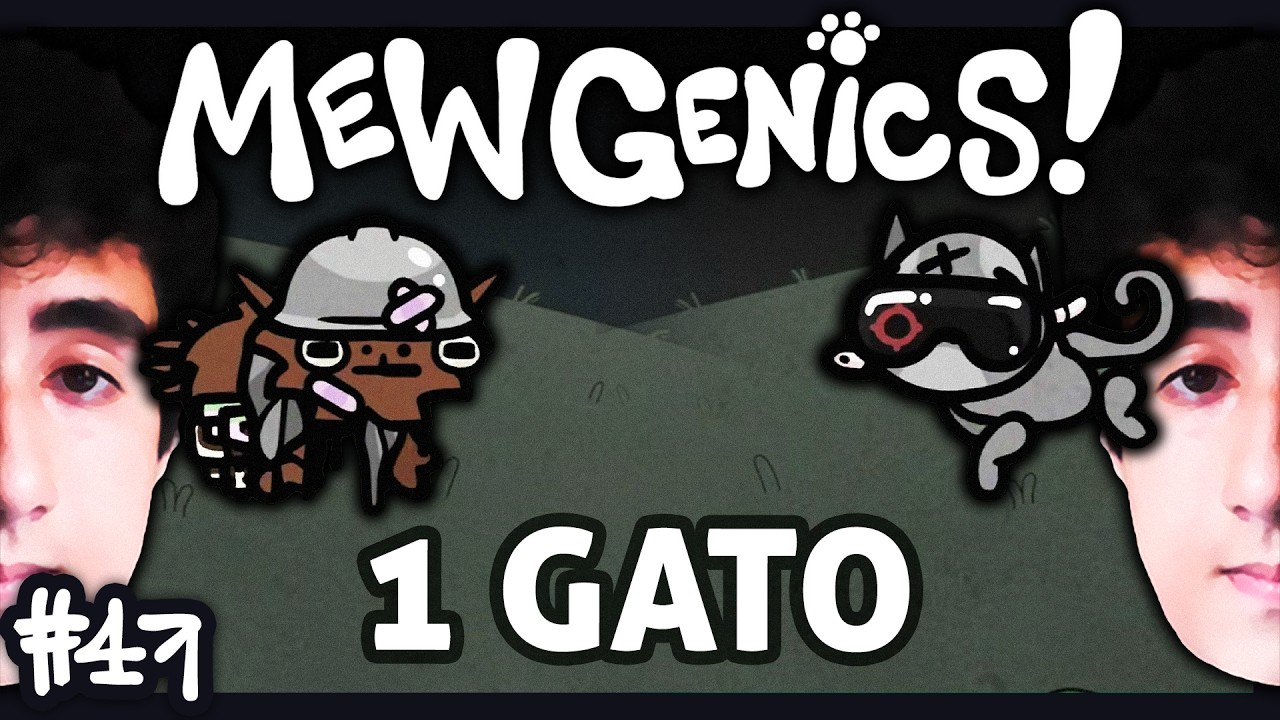 2 RUNS SOLO: Druida e Monge 🐈 Mewgenics - #47