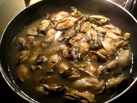 download lagu mp3 mp4 Baked Oysters From A Jar, download lagu Baked Oysters From A Jar gratis, unduh video klip Baked Oysters From A Jar