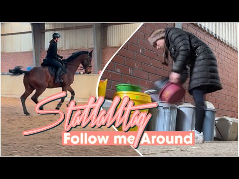 MEIN STALLALLTAG ALS BEREITERIN - FMA // ASKINO CONSAS