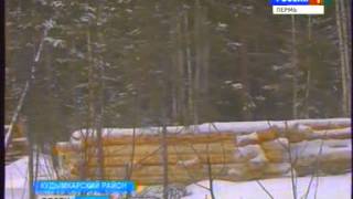 Отшельник в глухом лесу Коми-округа