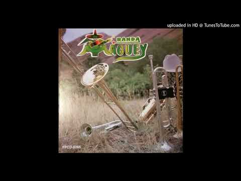 09 Las Petacas banda maguey