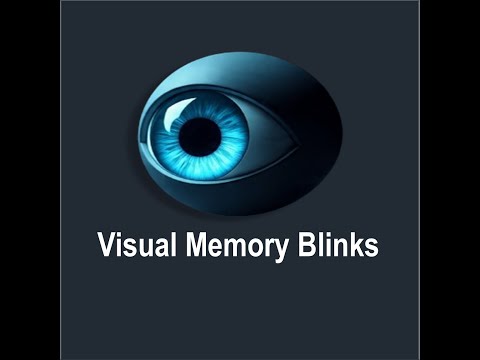 Visual Memory Blinks
