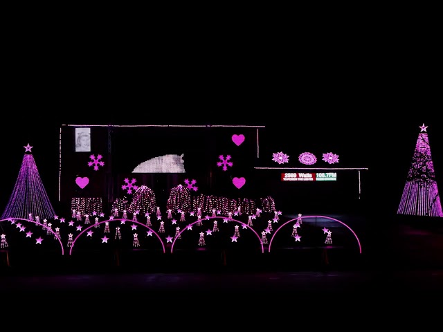 Hippopotamus for Christmas