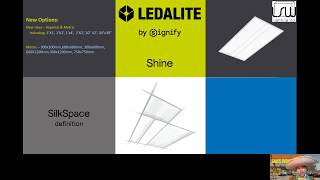 "Honest Speedy Gonzalez"