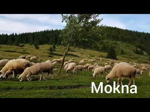 Mokna-Bukuroshja e Ballkanit!