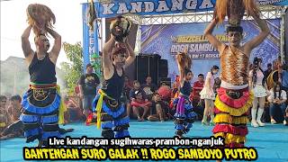 Download lagu Bantengan Suro Galak Jaranan ROGO SAMBOYO PUTRO Live Kandangan Sugihwaras Prambon Nganjuk mp3