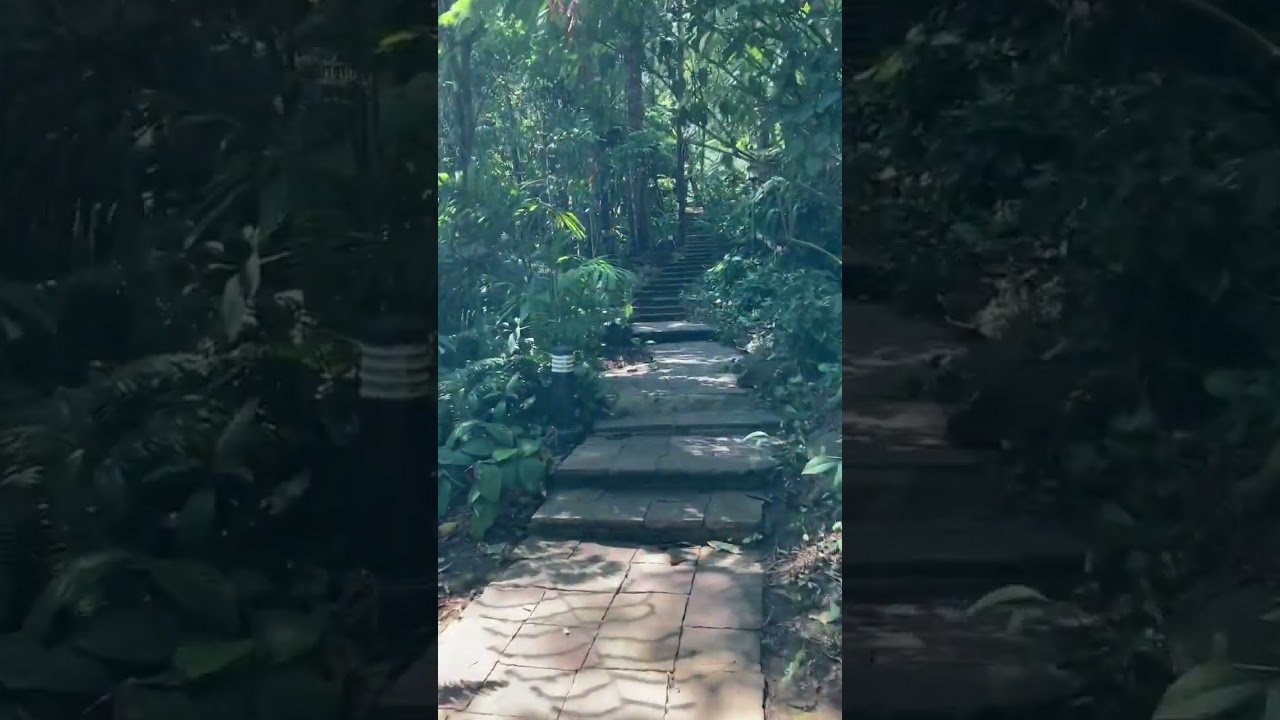 YouTube Short thumbnail