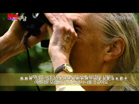 [LEE家]141106紀錄片《Jane Goodall》宣傳：李孝利采訪★高清韓語中字★