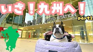 行けるか？10時間の大移動！（Can I make it? A 10-hour big move!)🚄