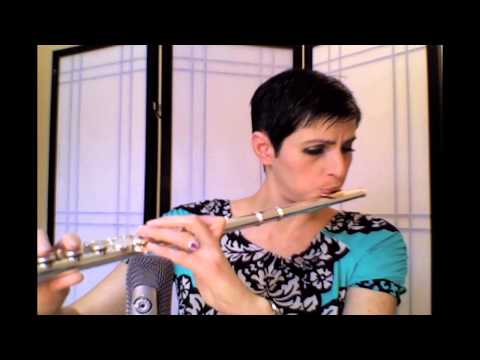 Handmade Nina Perlove Signature flute by Gemeinhardt! Danny Boy