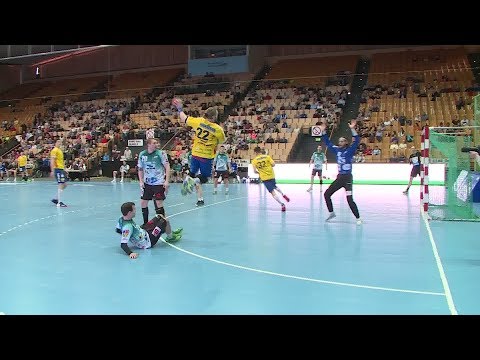 Unentschieden - Mecklenburger Stiere und Oranienburger HC teilen die Punkte