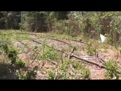 Abandoned industrial railroad track restored to operation - Taunton, MA - 2023
