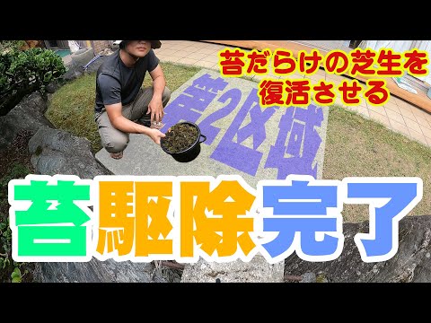 コケを完全に除去します。これにより、芝生が再び美しくなります。 トピックス