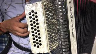 Florita del Alma - Grupo Pesado Tributo a Los Alegres de Terán