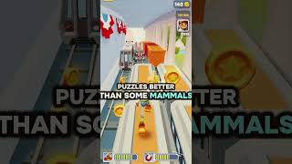 Who said aliens don’t exist? Look underwater 👽 #octopus #alien #mindblown #foryou