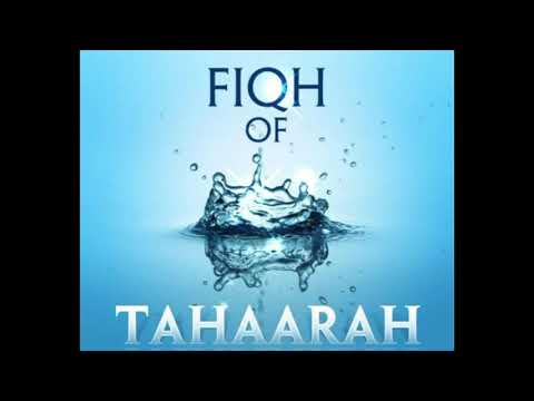 Fiqh of Taharah Episode 1 [03.08.2021]