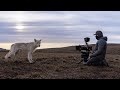 Filming a Pack of Arctic Wolves | Planet Earth III Behind The Scenes