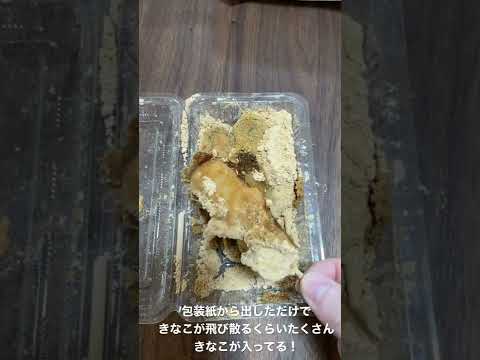美玉屋　黒蜜だんご