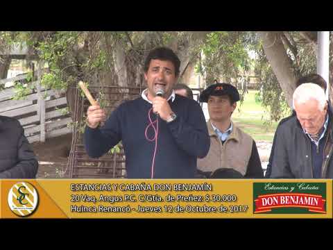 12-10-17 Venta de Vientres Angus Y Hereford - Estancias y Cabaña Don Benjamín - Huinca Renancó