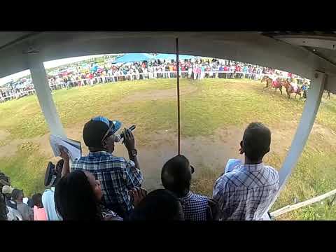 Sky Plus Inc 8th Mega Sprint Classic Race #  5